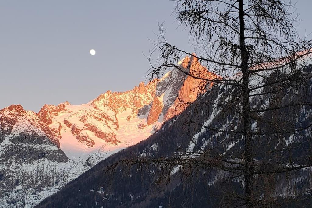 Bel Appartement Entier En Style Chalet A Chamonix Bagian luar foto
